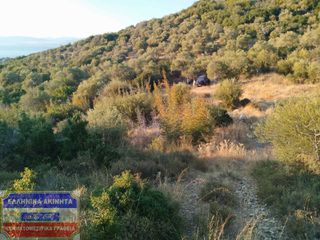 Οικόπεδο 5.000 τ.μ. για πώληση, Ν. Καβάλας, Θάσος-thumb-3