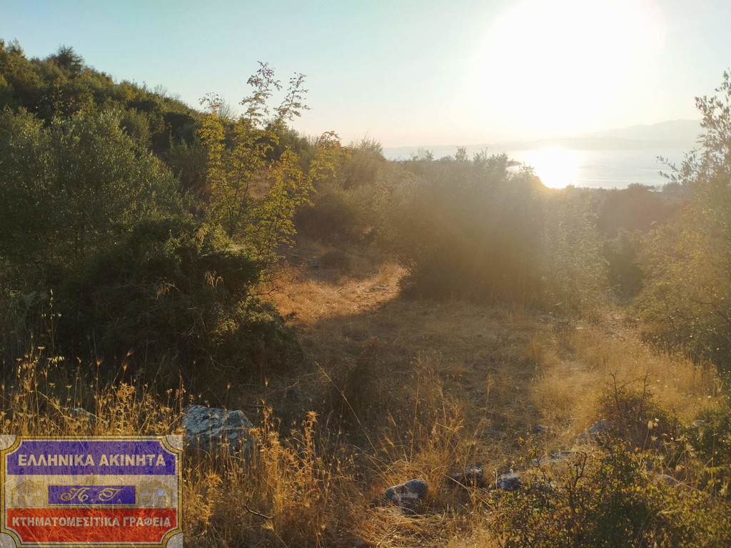 Οικόπεδο 5.000 τ.μ. προς πώληση, Καλύβες Θάσου
