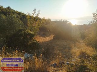 Οικόπεδο 5.000 τ.μ. για πώληση, Ν. Καβάλας, Θάσος-thumb-1