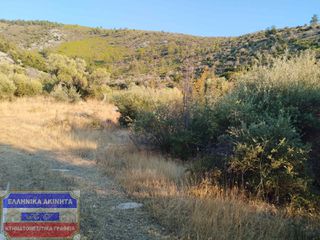 Οικόπεδο 5.000 τ.μ. για πώληση, Ν. Καβάλας, Θάσος-thumb-6
