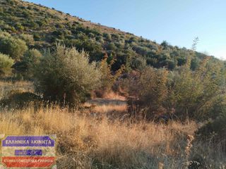 Οικόπεδο 5.000 τ.μ. για πώληση, Ν. Καβάλας, Θάσος-thumb-4