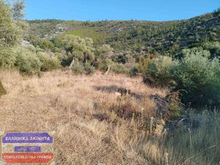 Οικόπεδο 5.000 τ.μ. για πώληση, Ν. Καβάλας, Θάσος-thumb-5