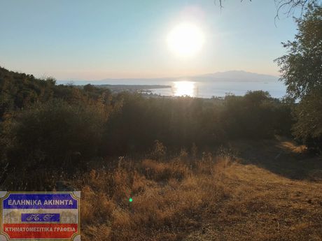 Οικόπεδο 5.000τ.μ. για πώληση-Θάσος