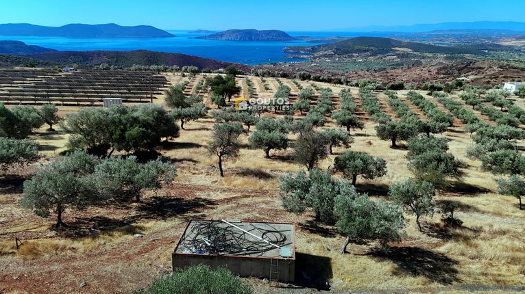 Αγροτεμάχια 34.857 τ.μ. για πώληση, Αργολίδα, Ερμιόνη