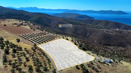 Αγροτεμάχια 10.155 τ.μ. για πώληση