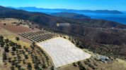 Αγροτεμάχια 10.155τ.μ. για πώληση-Ερμιόνη