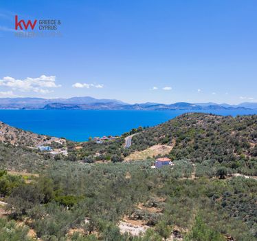 Land plot 8.000sqm for sale-North Kinouria