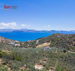 Οικόπεδο 8.000 τ.μ. για πώληση