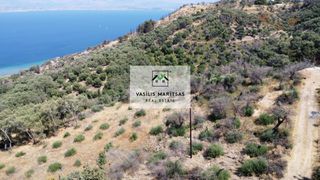 Οικόπεδο 2.148 τ.μ. για πώληση, Ν. Κέρκυρας, Κέρκυρα-thumb-12
