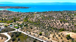 Αγροτεμάχια 6.100 τ.μ. προς πώληση, Βερβερούδα-thumb-15