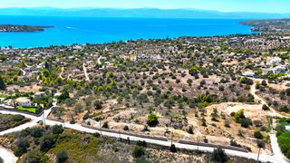Αγροτεμάχια 6.100 τ.μ. προς πώληση, Βερβερούδα-thumb-5