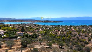 Αγροτεμάχια 6.100 τ.μ. προς πώληση, Βερβερούδα-thumb-2