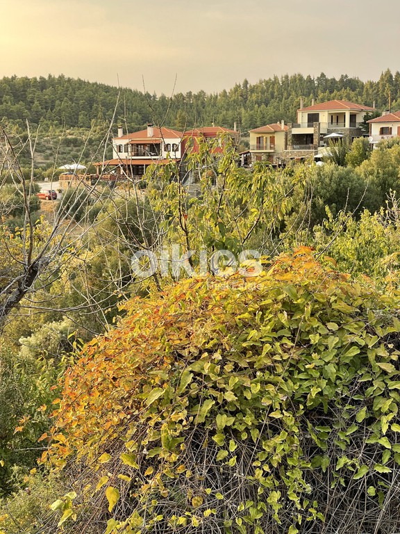 Οικόπεδο 1.350 τ.μ. προς πώληση, Παρθενώνας