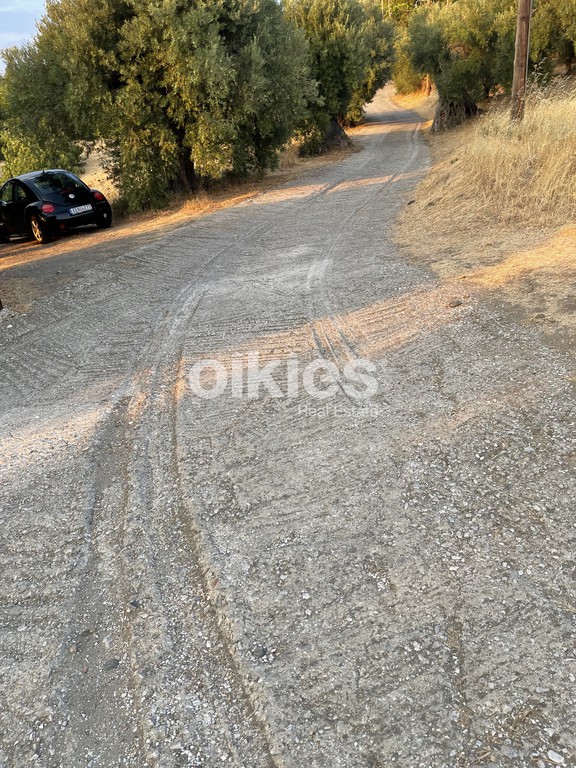 Οικόπεδο 1.350 τ.μ. προς πώληση, Παρθενώνας