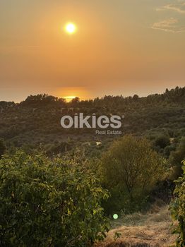 Οικόπεδο 1.350τ.μ. για πώληση-Σιθωνία