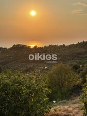Οικόπεδο 1.350 τ.μ. για πώληση