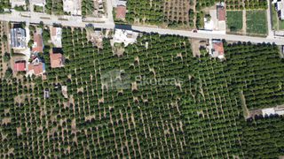 Οικόπεδο 3.614 τ.μ. για πώληση, Αργολίδα, Άργος-thumb-8