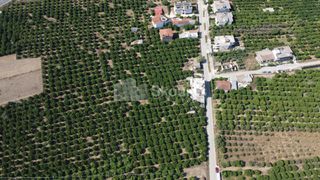 Οικόπεδο 3.614 τ.μ. για πώληση, Αργολίδα, Άργος-thumb-6