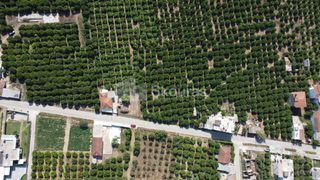 Οικόπεδο 3.614 τ.μ. για πώληση, Αργολίδα, Άργος-thumb-7