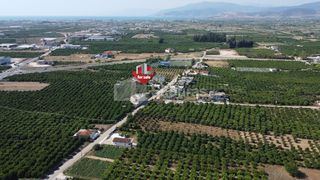 Οικόπεδο 3.614 τ.μ. για πώληση, Αργολίδα, Άργος-thumb-14