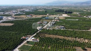 Οικόπεδο 3.614 τ.μ. για πώληση, Αργολίδα, Άργος-thumb-4