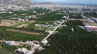 Οικόπεδο 3.614 τ.μ. για πώληση, Αργολίδα, Άργος-thumb-9
