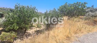 Οικόπεδο 1.457 τ.μ. για πώληση, Ν. Χίου, Χίος-thumb-5