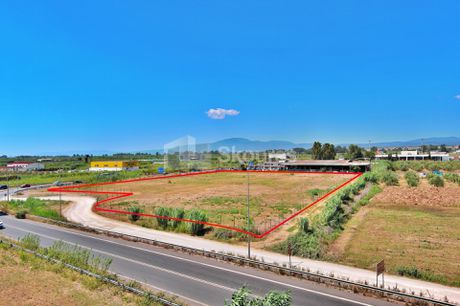 Αγροτεμάχια 12.850τ.μ. για ενοικίαση-Καλαμάτα