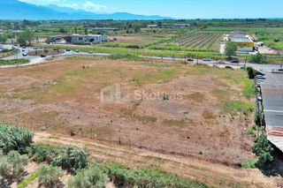 Αγροτεμάχια 12.850 τ.μ. για ενοικίαση, Μεσσηνία, Καλαμάτα-thumb-9