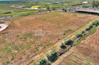 Αγροτεμάχια 12.850 τ.μ. για ενοικίαση, Μεσσηνία, Καλαμάτα-thumb-8
