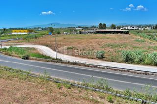 Αγροτεμάχια 12.850 τ.μ. για ενοικίαση, Μεσσηνία, Καλαμάτα-thumb-16