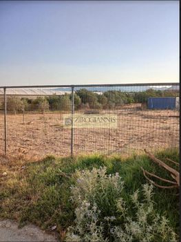 Land plot 3.000sqm for sale-Marathonas