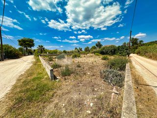 Οικόπεδο 834 τ.μ. για πώληση, Αργολίδα, Ασίνη-thumb-17