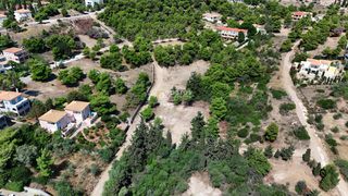 Οικόπεδο 1.000 τ.μ. προς πώληση, Αργολίδα, Κρανίδι-thumb-17