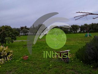 Αγροτεμάχια 3.500 τ.μ. για πώληση