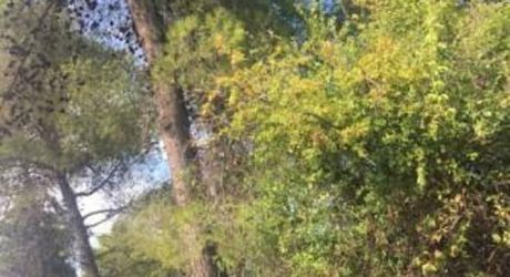 Land plot 623sqm for sale-Gerakas