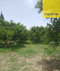 Οικόπεδο 608 τ.μ. για πώληση, Κορινθία, Βέλο-thumb-2