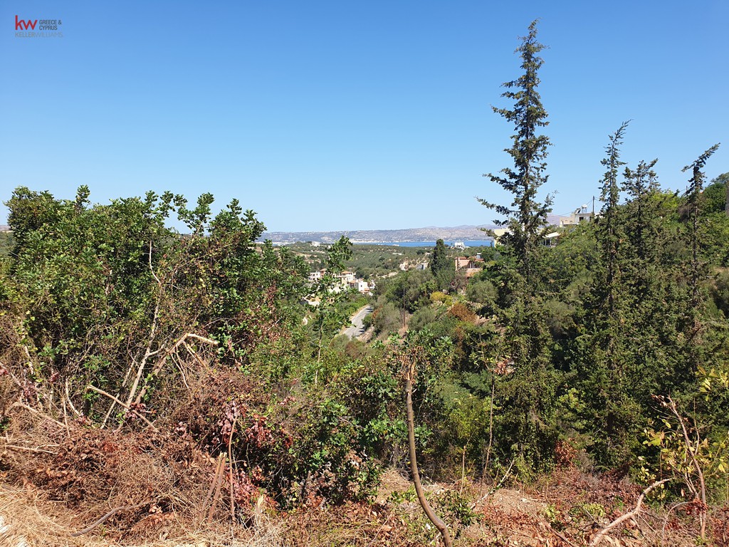 Οικόπεδο 3.128 τ.μ. προς πώληση, Άσπρο Βάμου