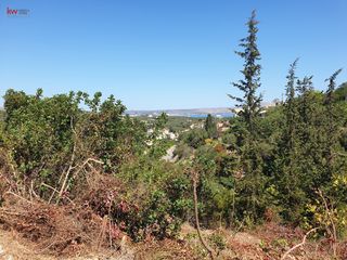 Οικόπεδο 3.128 τ.μ. προς πώληση, Άσπρο Βάμου-thumb-4