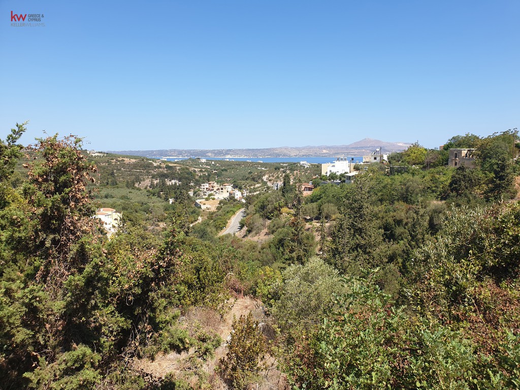 Οικόπεδο 3.128 τ.μ. προς πώληση, Άσπρο Βάμου