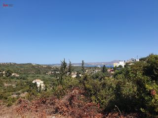 Οικόπεδο 3.128 τ.μ. προς πώληση, Άσπρο Βάμου-thumb-5