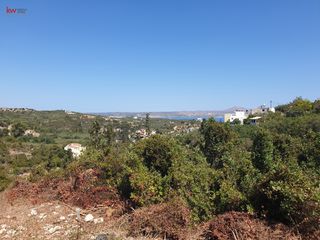 Οικόπεδο 3.128 τ.μ. προς πώληση, Άσπρο Βάμου-thumb-6