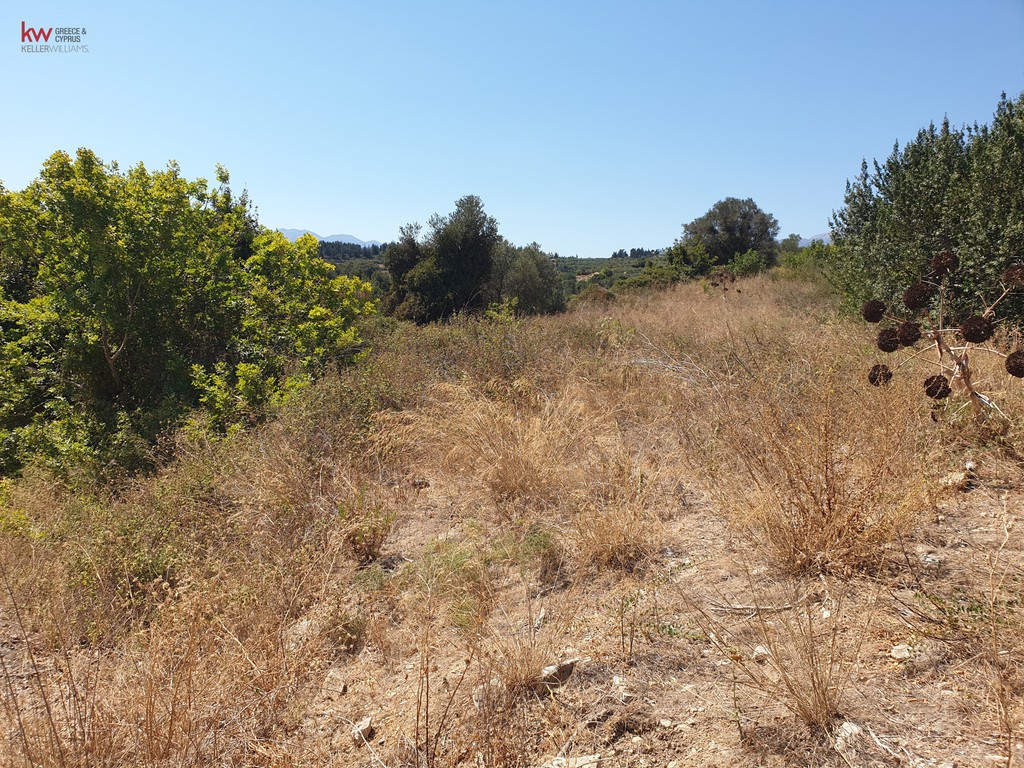 Οικόπεδο 4.000 τ.μ. προς πώληση, Άσπρο Βάμου