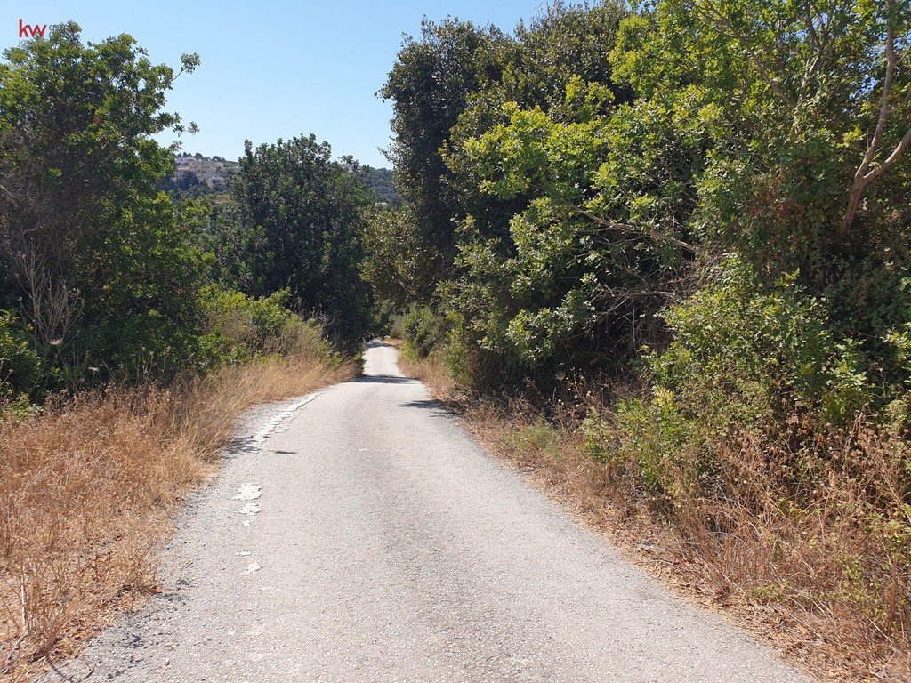 Οικόπεδο 4.000 τ.μ. προς πώληση, Άσπρο Βάμου