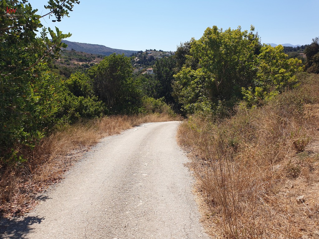 Οικόπεδο 4.000 τ.μ. προς πώληση, Άσπρο Βάμου