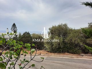 Οικόπεδο 867 τ.μ. για πώληση, Αττική - Υπόλοιπο, Σαρωνίδα-thumb-5
