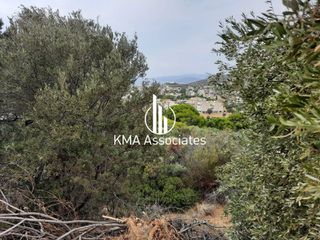 Οικόπεδο 867 τ.μ. για πώληση, Αττική - Υπόλοιπο, Σαρωνίδα-thumb-8