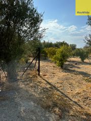 Οικόπεδο 500 τ.μ. για πώληση, Κορινθία, Βέλο-thumb-1