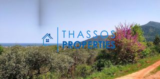 Αγροτεμάχια 1.106 τ.μ. για πώληση, Ν. Καβάλας, Θάσος-thumb-1