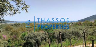 Αγροτεμάχια 1.106 τ.μ. για πώληση